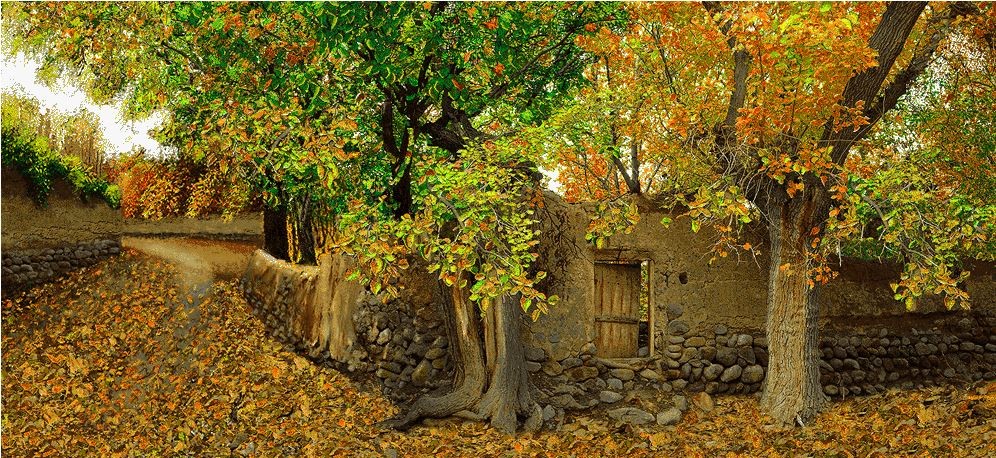 نخ و نقشه تابلو فرش طرح منظره   (کد A19-844) طبیعت
