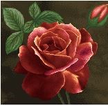 نخ و نقشه تابلو فرش طرح    (کد A24-699) گل و گلدان