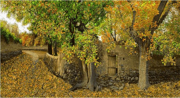 نخ و نقشه تابلو فرش طرح منظره (کد H6-504) طبیعت